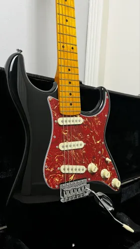 Guitarra Tagima Woodstock TG530