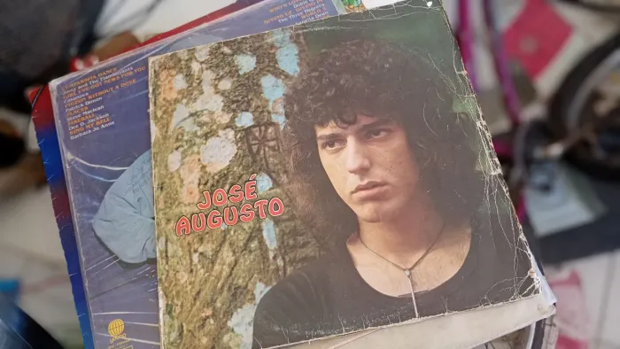 Vinil