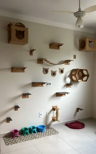 Playground de gatos