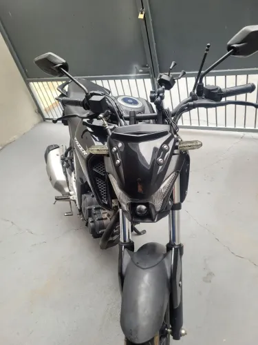 Fz15