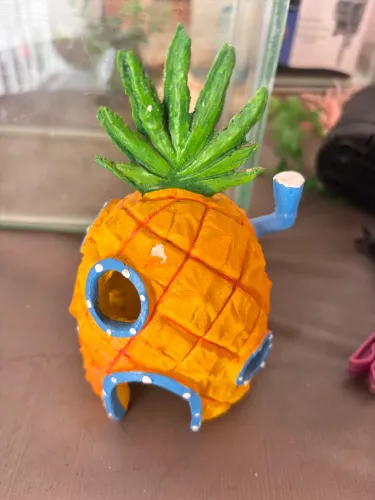 Decoração para aquário