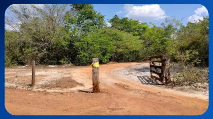 GLEBA DE TERRAS - Fazenda Bandeira, Lotes 126-A e 125, Gleba Brejão III Etapa, Wanderlândi