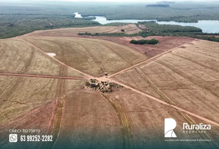 Araguaína - TO Fazenda dupla aptidão, já está plantando, alto potencial para irrigação 35%