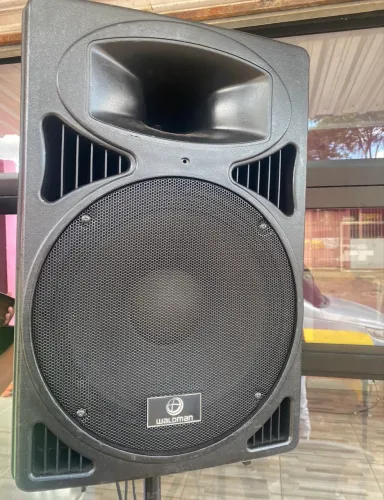 Caixa Ativa Waldman LiveCab 315A - Excelente Estado Vendo caixa ativa Waldman Liv