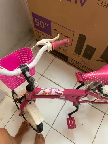 Bicicleta