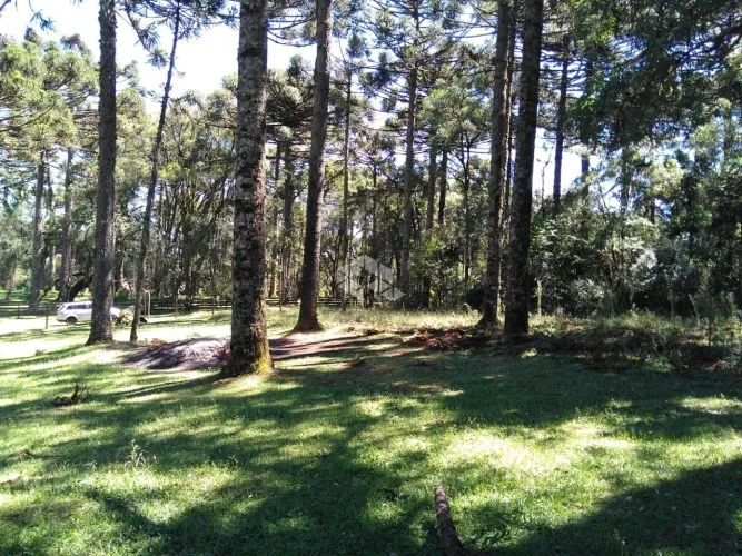 Terreno no Caracol com 750m², em Canela