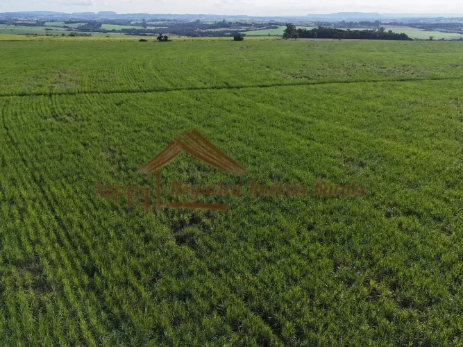 Sitio a venda com 24,5 alqueires na região de Tatuí-SP