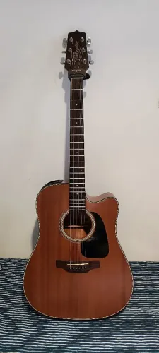 Takamine GD11