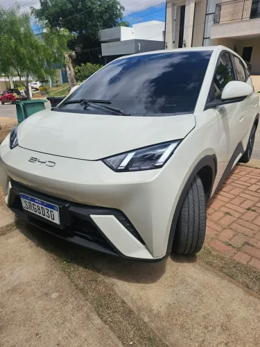 BYD Dolphin Mini (Elétrico) 2024