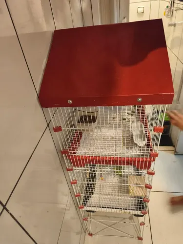 2 Gaiola para pássaros