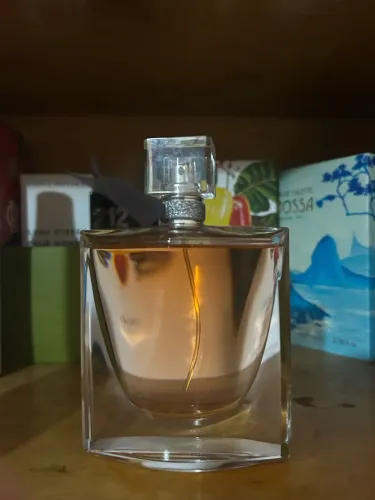 Kit la vie est belle
