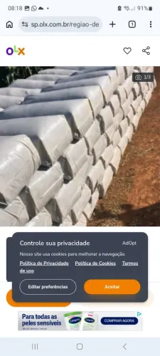 SILO DE MILHO