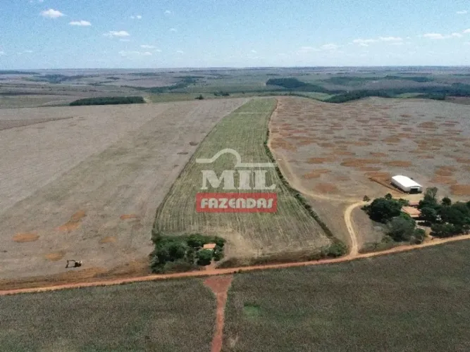 Fazenda (308 Hectares) Arame - MA