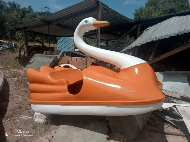 Pedalinho cisnei
