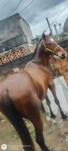 Vendo ou troco