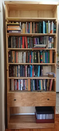 Estante de livros (sem os livros) - 3 anos de uso