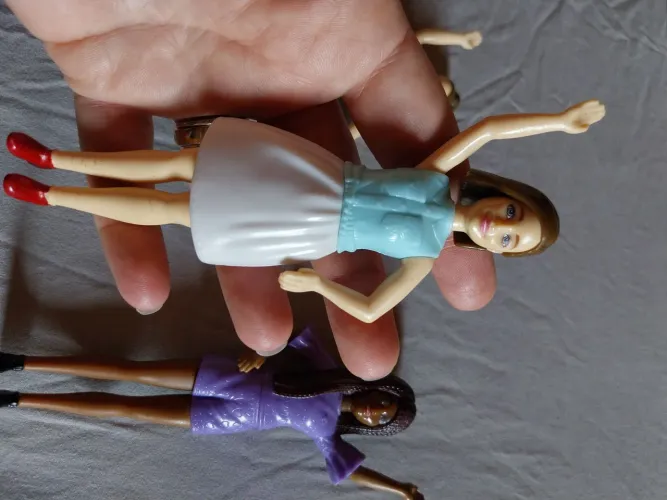 Bonecas Barbie Inclusão