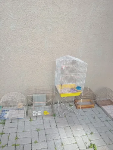 4 gaiolas pequenas e 1 grande