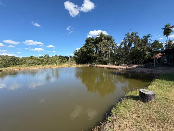 FAZENDA EM PONTALINA - GOIAS - 40 ALQUEIRES