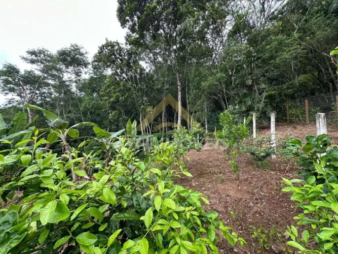 Terreno para Venda em Florianópolis, Córrego Grande