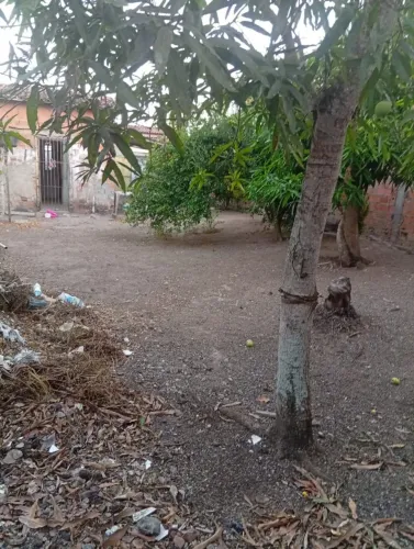 VENDE-SE CASA