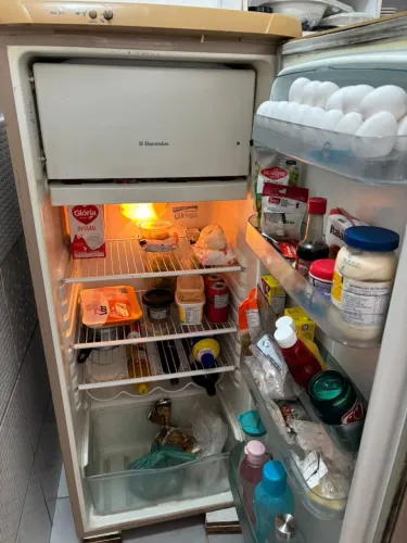 Geladeira ELECTROLUX RE 32