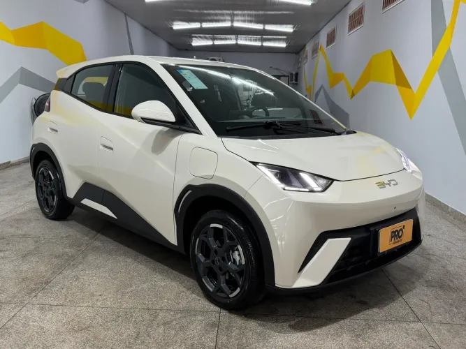 BYD Dolphin Mini (Elétrico) 2027
