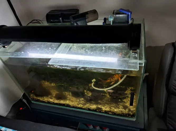 Vende Aquario montado completo