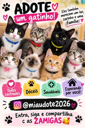 GATAS e GATOS