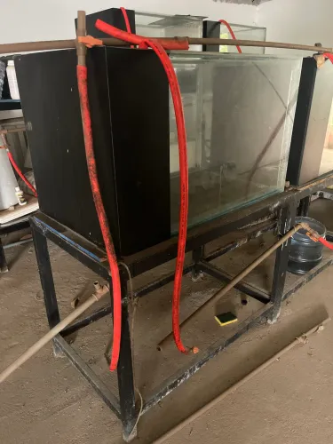 Aquario 360 litros com vidro de 10mm