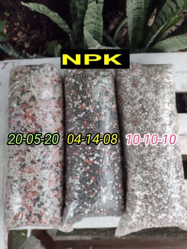 NPK