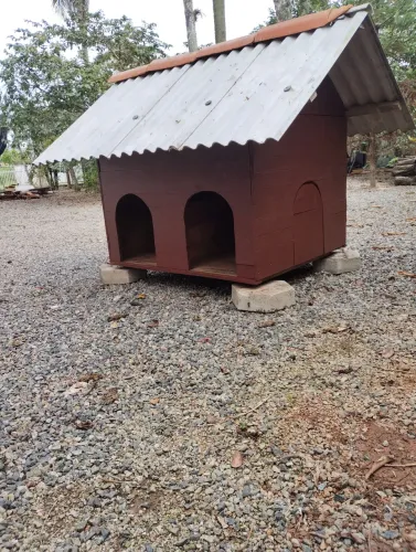 Casinha de Cachorro
