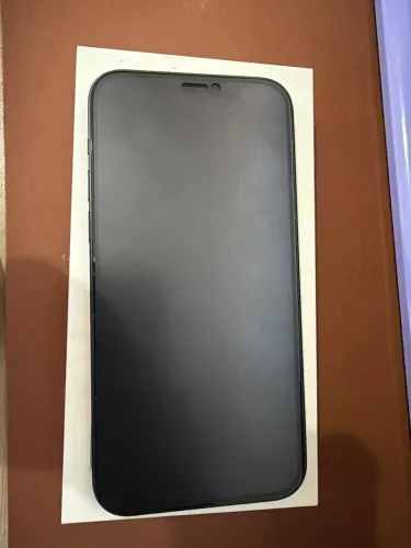 iPhone 12