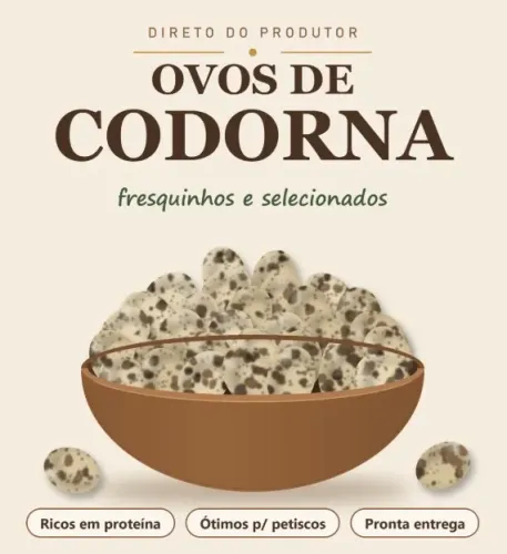 Ovo de codorna
