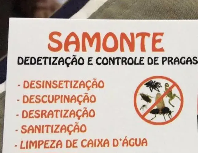 Dedetizacao profissional e certificação