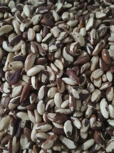 Castanha do Brasil (Pará) 500g