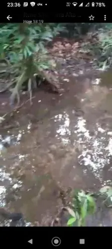 Sítio de 19,2 hectares (320 x600) por 200 mil reais em Terra Alta