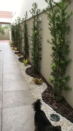Paisagismo, fazemos seu jardim, Frutíferas, ornamentais e Palmeiras