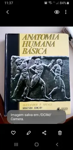 LIVRO ANATOMIA BASICA PERFEITO ESTADO