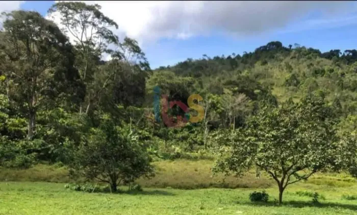 Vendo Fazenda de Cacau no Município de Ilhéus BA
