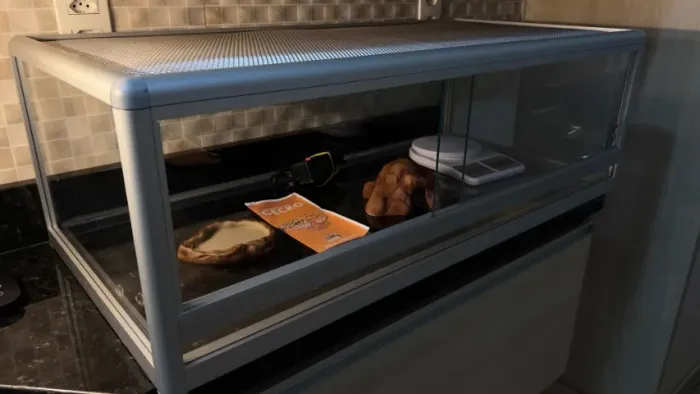 Terrário Terrestre Pets