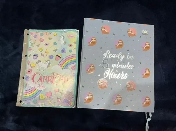 Caderno Argolado Universitário DAC Trendy - Preguiça Usado