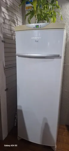 Freezer Vertical Brastemp Flex Frost Free 228 litros - 110V