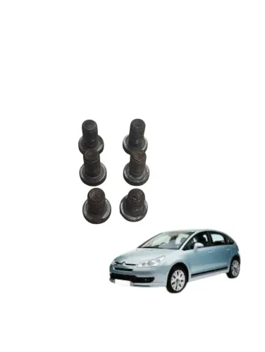 Kit Parafuso Fixação Plato Embreagem Citroen C4 Glx 1.6 2013