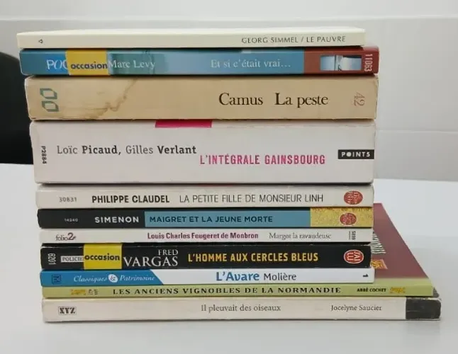 Livros em Francês