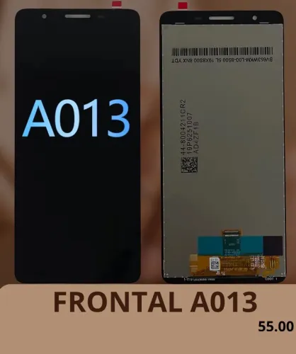 Frontal A13