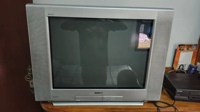 Sony Wega Trinitron 29" - Vídeo Componente + Controle Original - Impecável