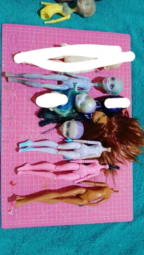 Bonecas sucatas reservadas, twyla kitty e Clawdeen