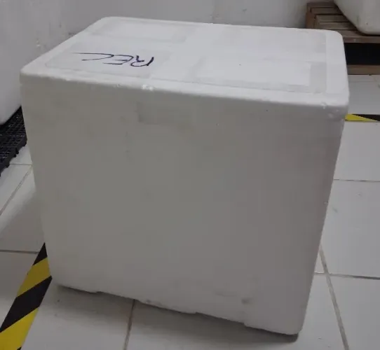 CAIXAS DE ISOPOR MUITO NOVAS