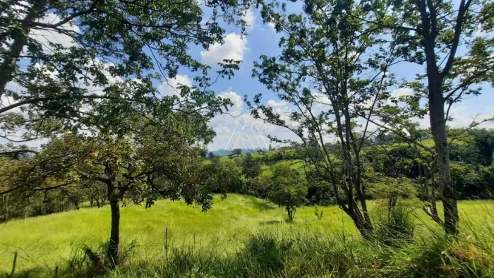 Vendo lote em Itaúna com ótima localização!